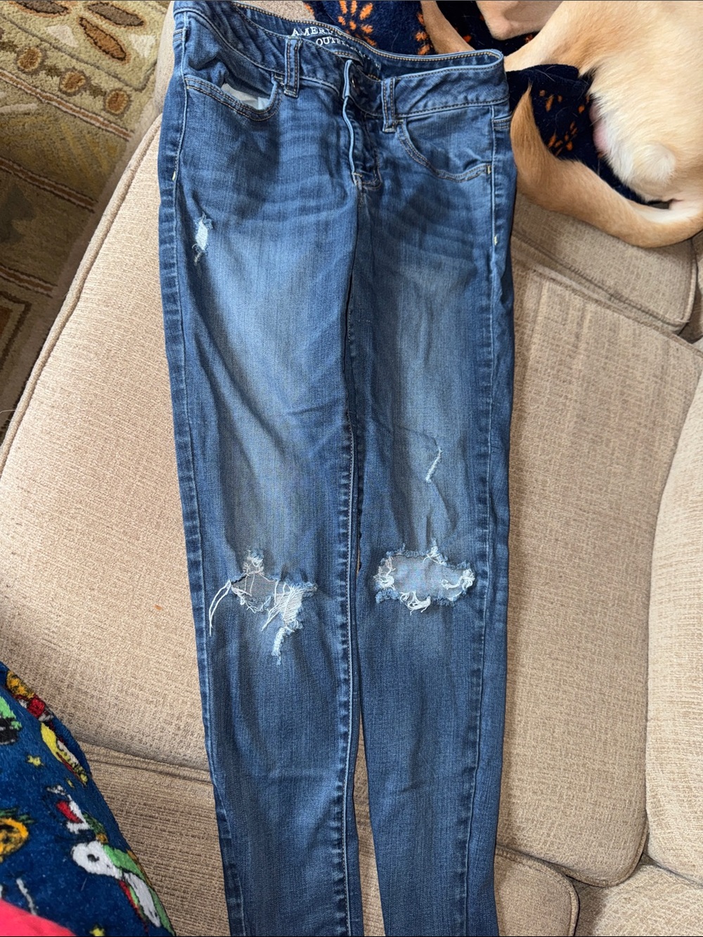 Distressed Dark Blue Skinny Jeans - Women